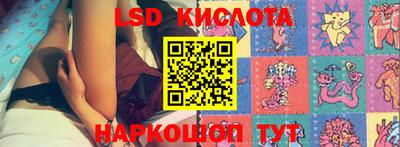 крисы Гусев