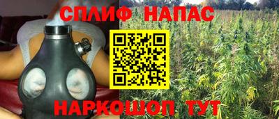 крисы Гусев