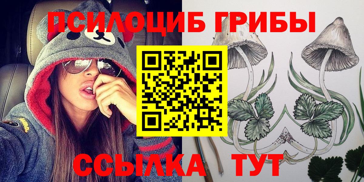 Галлюциногенные грибы мухоморы Минусинск
