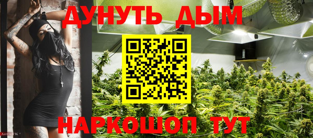 Конопля Amnesia  Вход с VPN  Минусинск  Бошки Шишки White Widow  Бошки Шишки OG Kush 